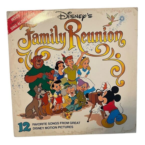 VINTAGE DISNEYS FAMILY REUNION LP 12” SOUNDTRACK W SING ALONG BOOK VINYL RECORD - Picture 2 of 7